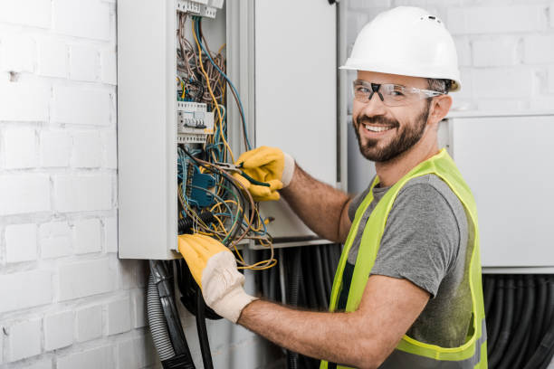 Best Electric Panel Repair  in Hallsville, MO